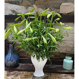 Lọ hoa trắng gốm sứ Bát Tràng dáng bàn tay phật 35Cm