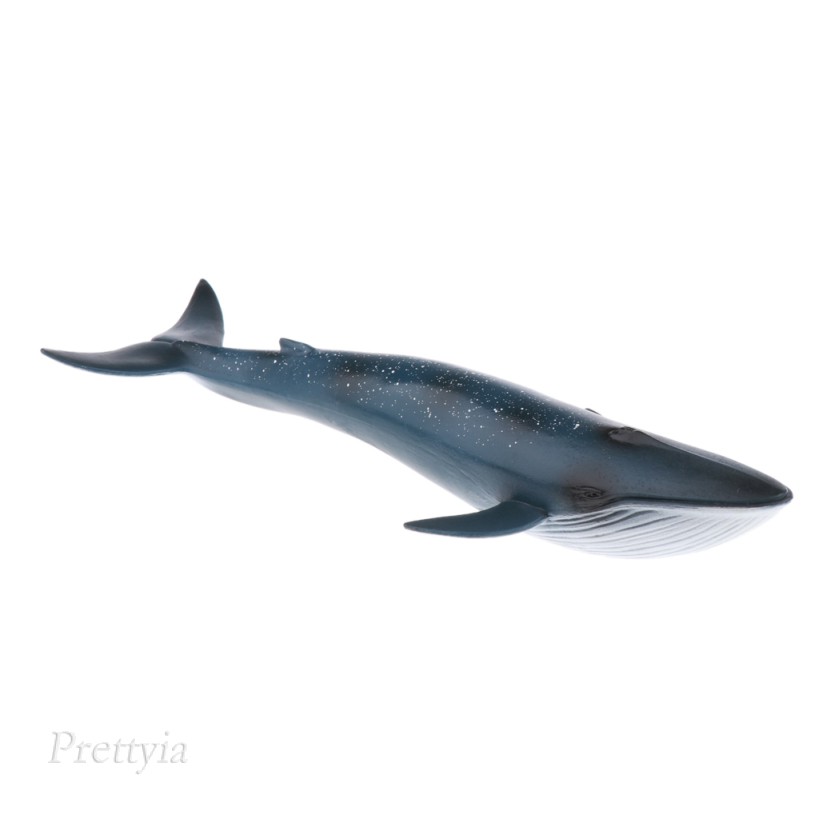 WHALE Mô Hình Đồ Chơi Cá Voi Xanh Bằng Nhựa 22cm