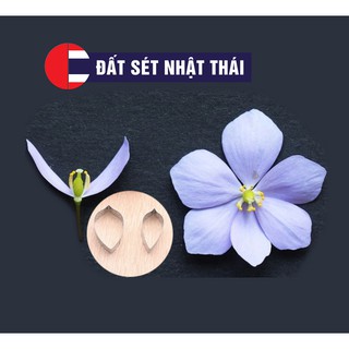 KHUÔN CẮT HOA ĐƯỜNG HOA ĐẤT SÉT 6 CÁNH LÀM XÔI HOA ĐẬU, RAU CÂU