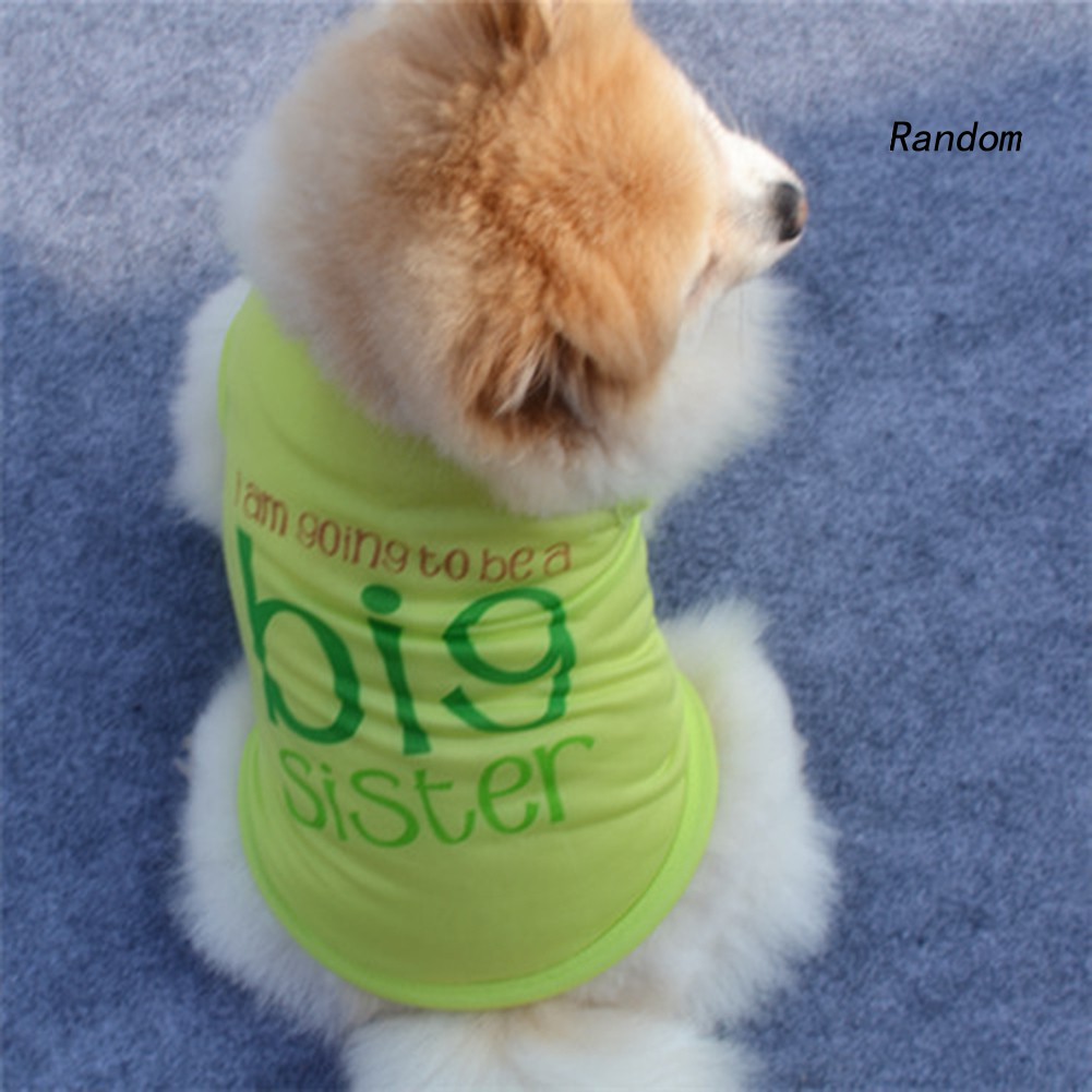 Áo Chống Nắng Cho Thú Cưng Ran