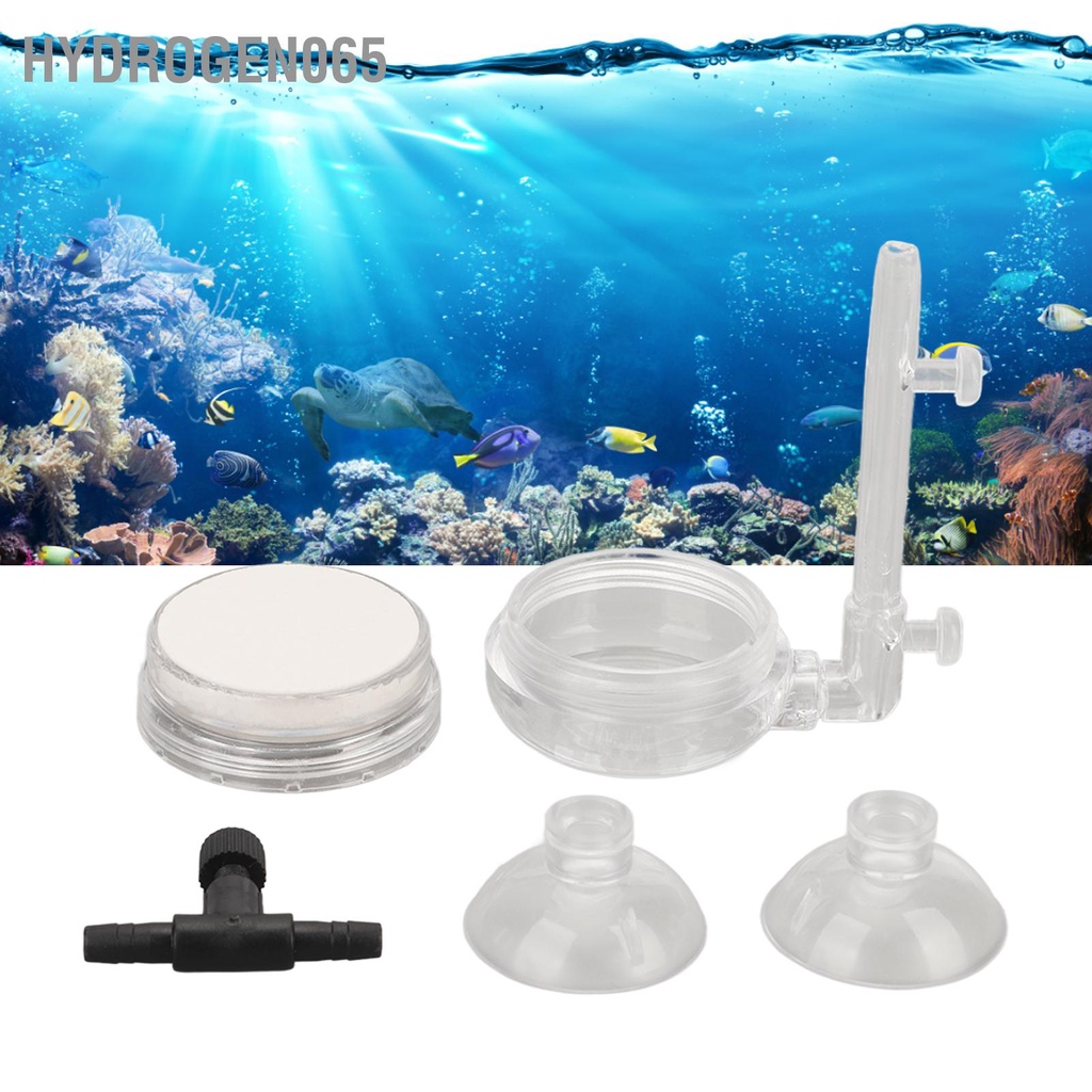 Đá Sủi Bọt Khí Oxy Trong Suốt Áp Suất Thấp Cho Bể Cá
