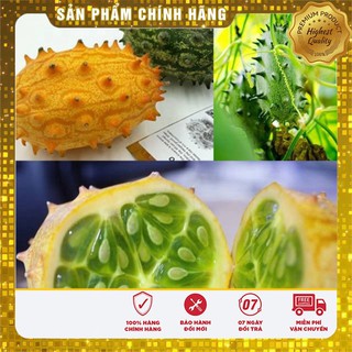 Hạt giống Dưa Sừng ngon+lạ+dễ trồng