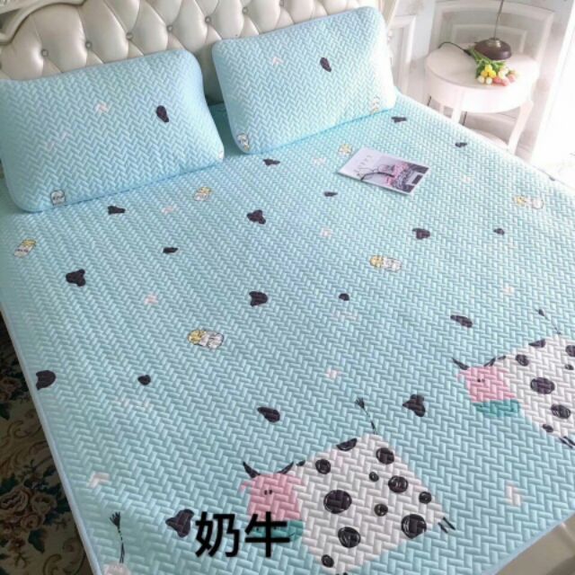 Chiếu tencel loại 1