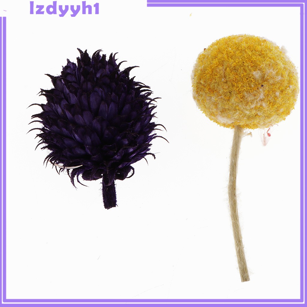 1 Hộp Hoa Khô Tự Nhiên Dùng Làm Thẻ Trang Trí Sổ Tay JoyDIY