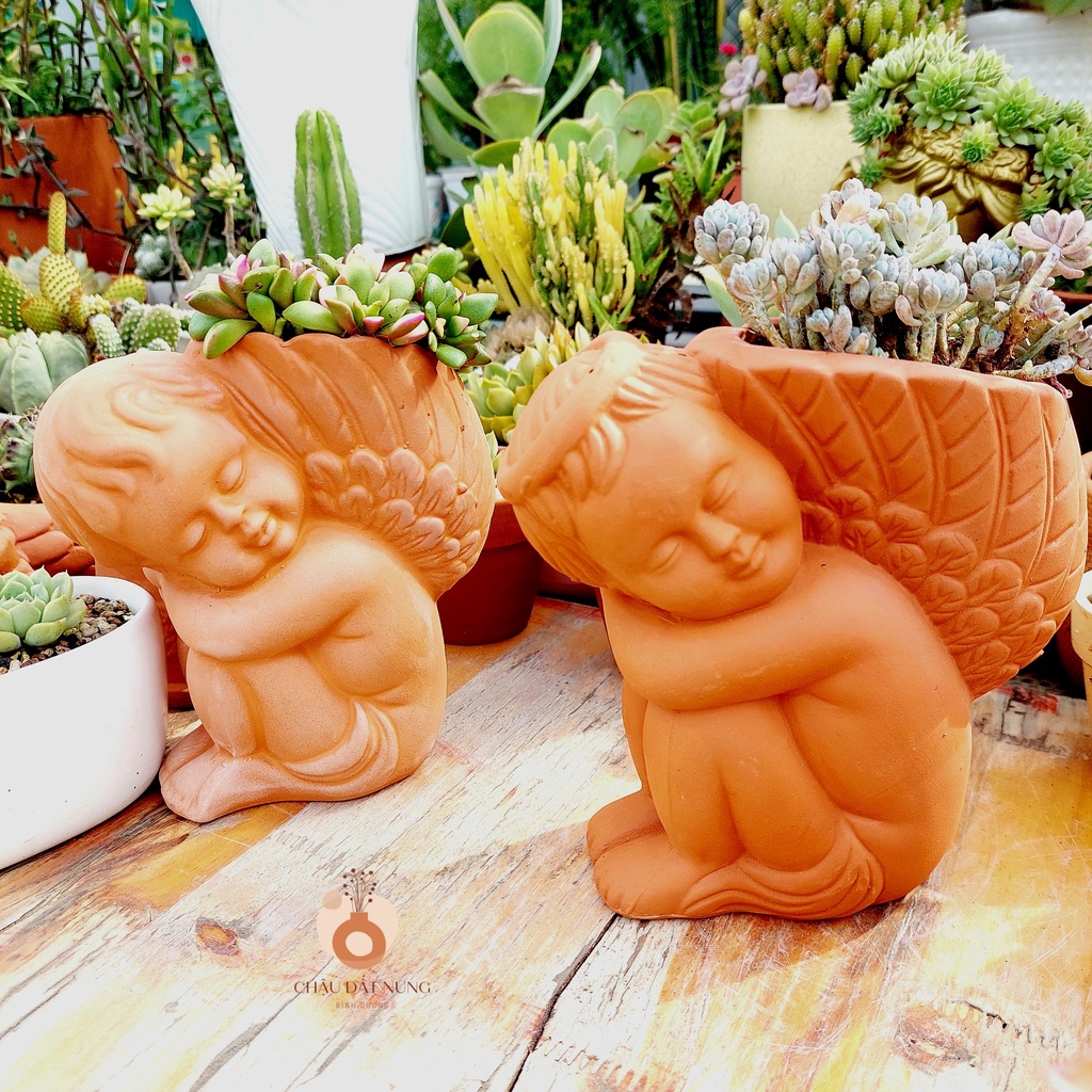Chậu đất nung, Chậu sen đá - Thiên thần nhỏ 917, miệng chậu 9cm, chiều cao 17cm