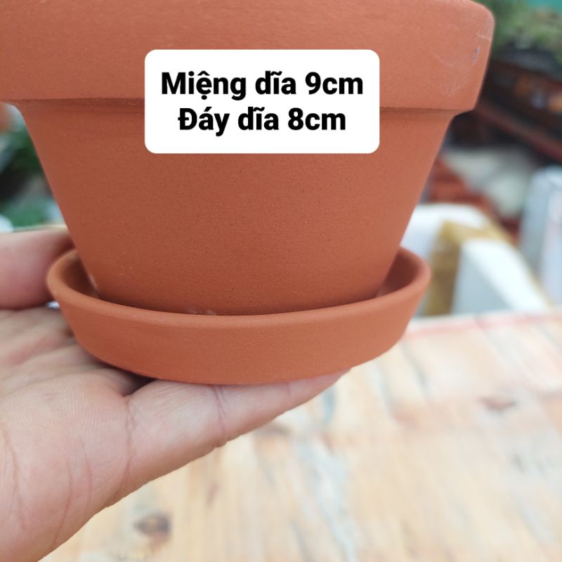Chậu đất nung, Chậu sen đá - Dĩa lót chậu, miệng dĩa 9cm, dáy dĩa 8cm