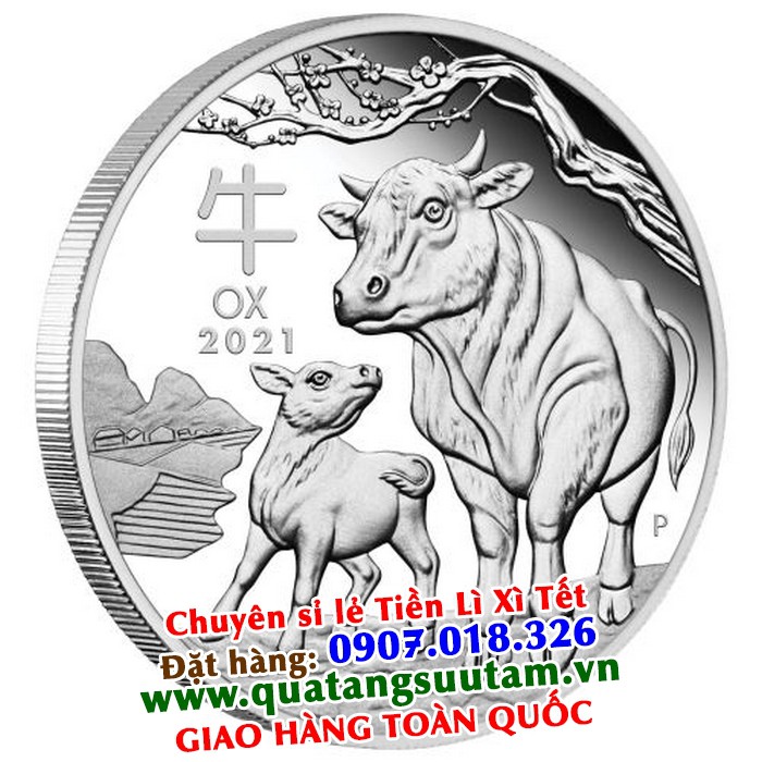 Cặp Đồng Tiền Xu Con Trâu Úc Mạ Vàng Bạc đi kèm túi nhung chữ PHÚC Lì Xì Tết 2021 | BigBuy360 - bigbuy360.vn