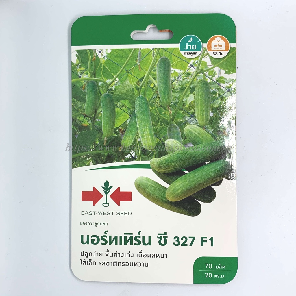 Hạt giống dưa chuột hai mũi tên 327 f1 Thái Lan. 70 hạt/gói