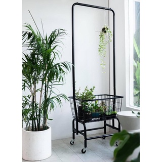 Kệ Đơn Treo Đồ Kèm Giỏ
