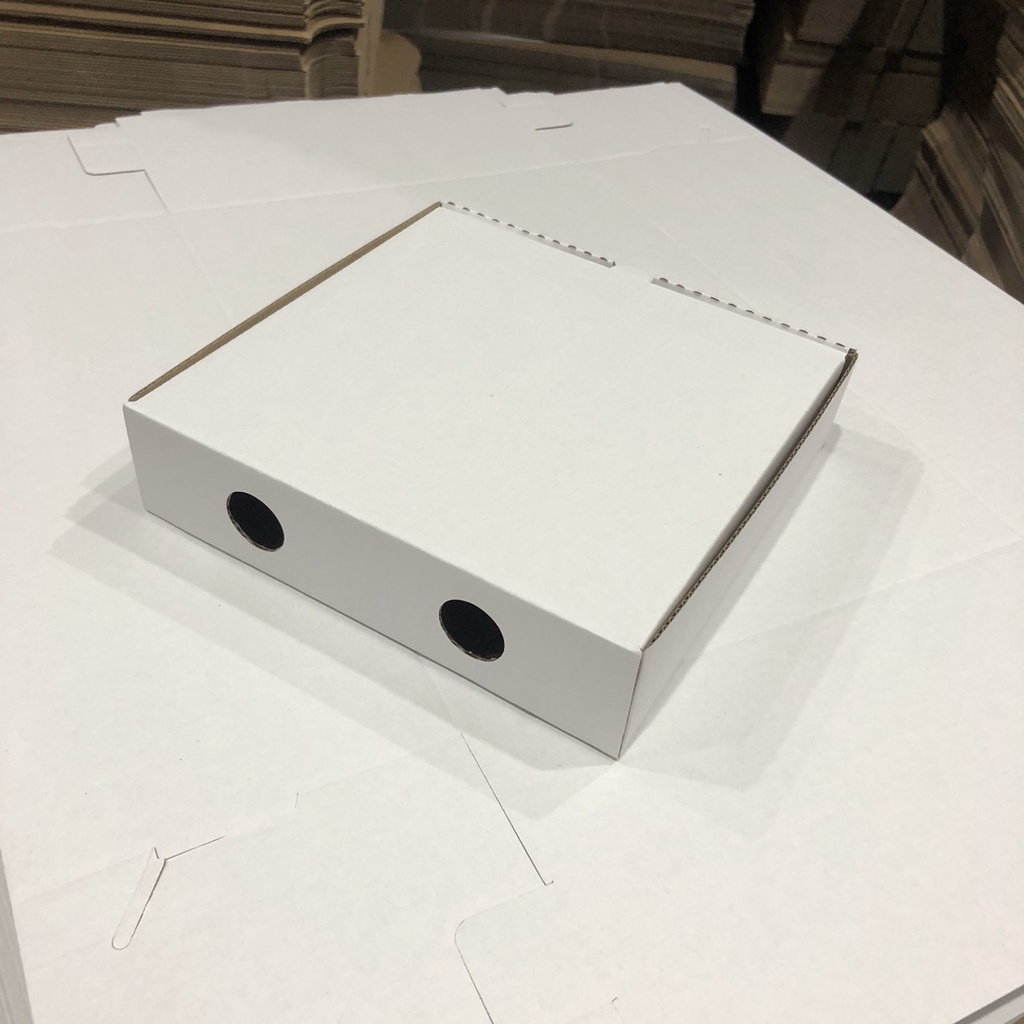 Hộp carton đựng bánh pizza size 24x24x4cm NHIỀU MÀU