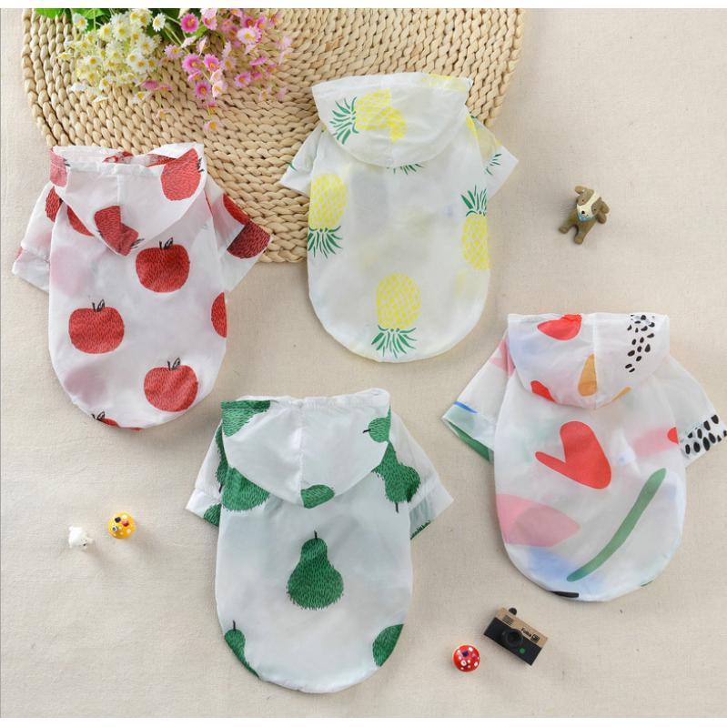Áo xinh xắn chống nắng thời trang xuân hạ cho thú cưng