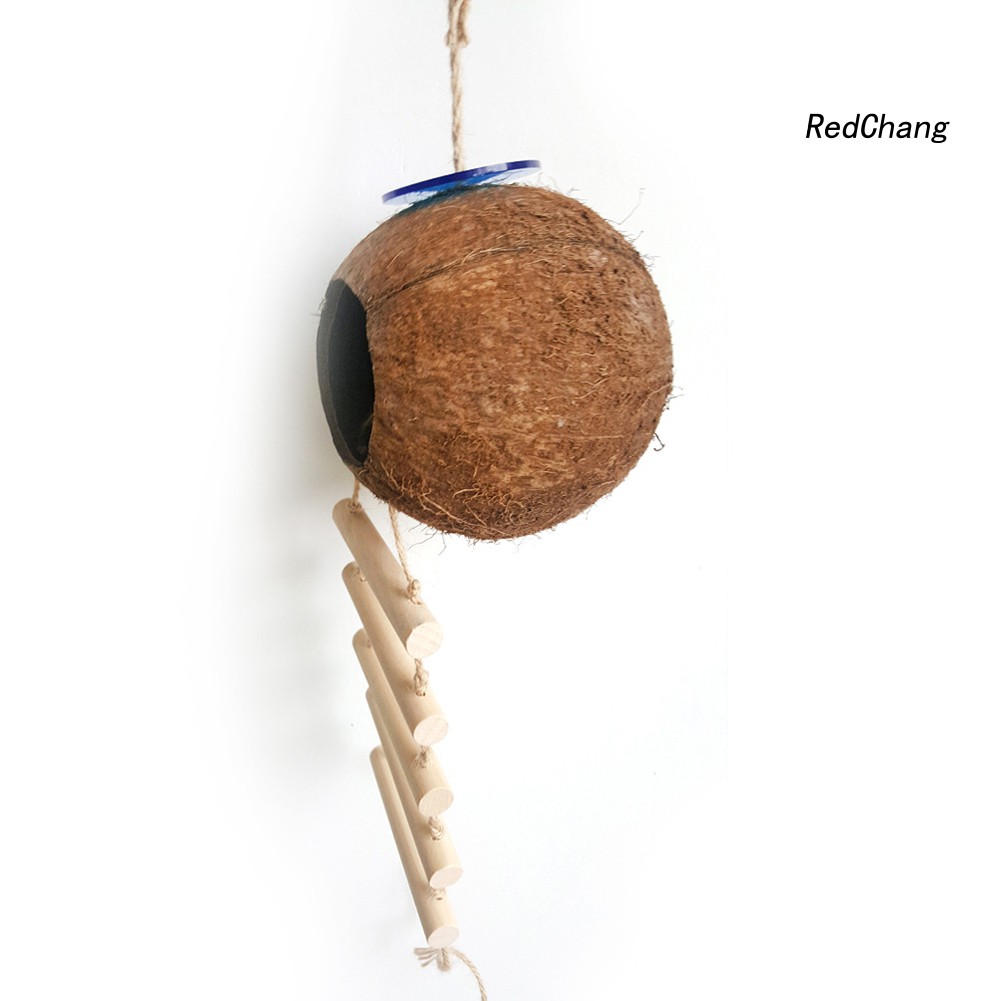 Tổ Chim Hình Gáo Dừa Xinh Xắn Độc Đáo