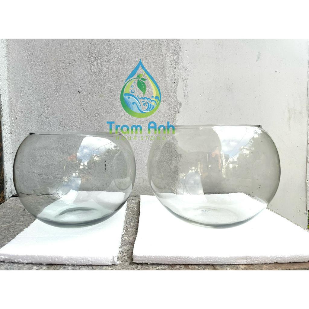 (CHỈ GIAO HỎA TỐC ) Bể thủy tinh tròn - hồ cá bầu tròn - siêu trong hàng nhập - terrarium - tiểu cảnh để bàn