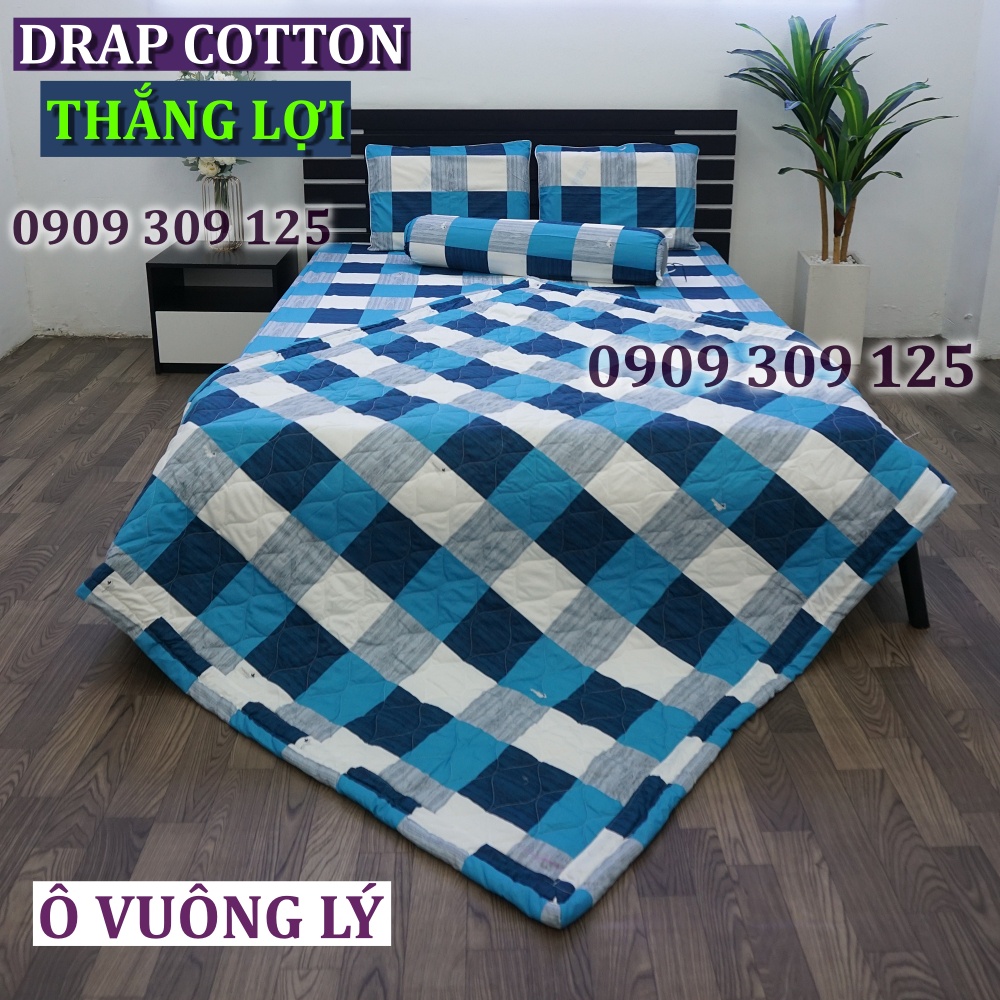 (ảnh thật) bộ drap cotton Thắng Lợi, ga giường cao cấp Ô VUÔNG LÝ