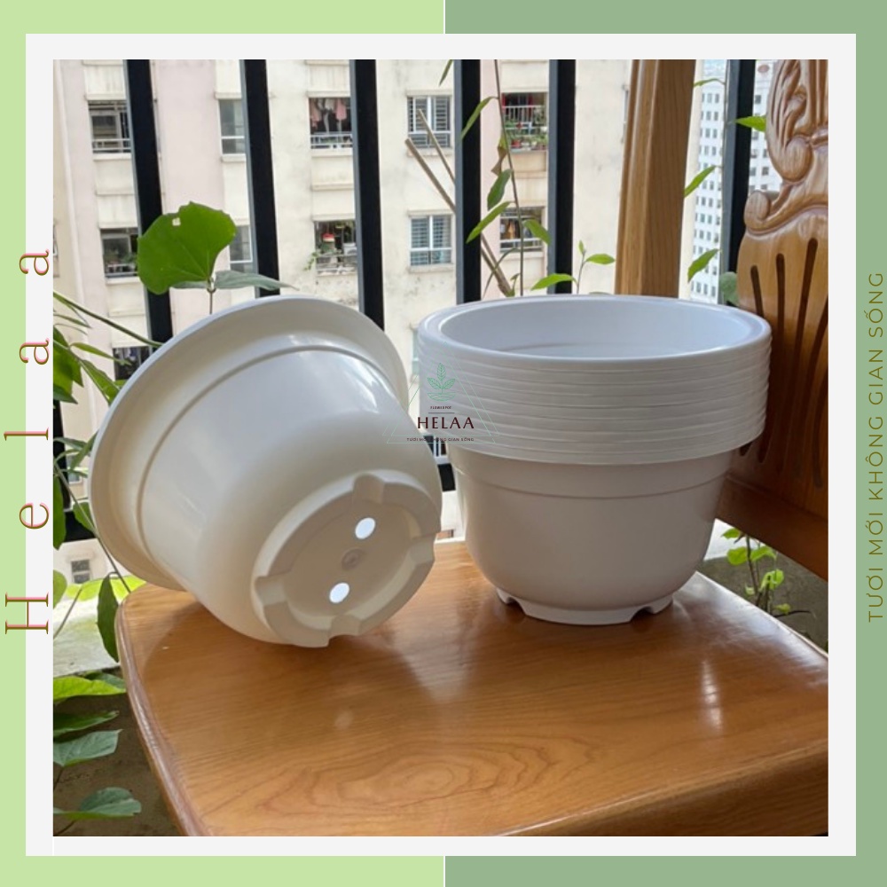Combo 10 Chậu Trắng Trơn, Chậu Truyền Thống Trồng Hoa, Cây Cảnh, Ban Công, Sân Vườn 22x14cm