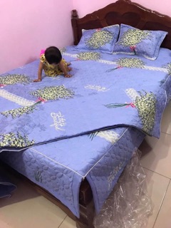 Sét chăn ga 5 món ga phủ trần bông