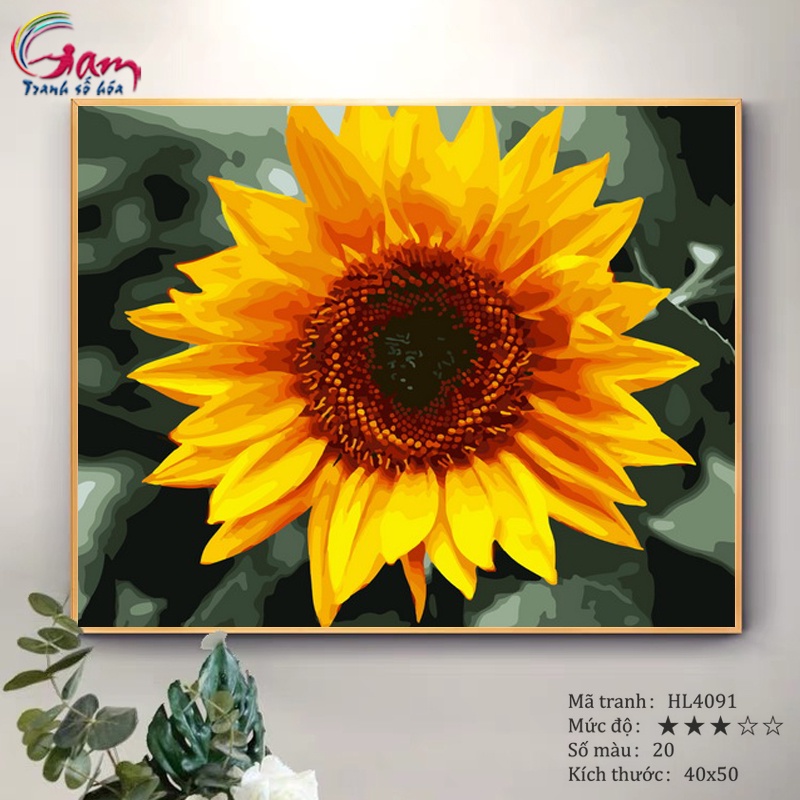 Tranh tô màu theo số hoa hướng dương có sẵn đã căng khung 40x50cm HL4091