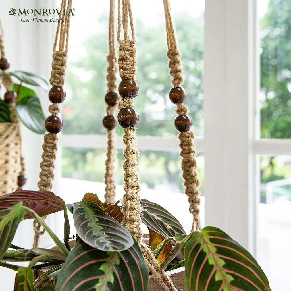 Dây treo chậu cây Macrame MONROVIA, decor trong nhà, văn phòng, ban công, sang trọng, đan thủ công tỉ mỉ từ sợi cotton