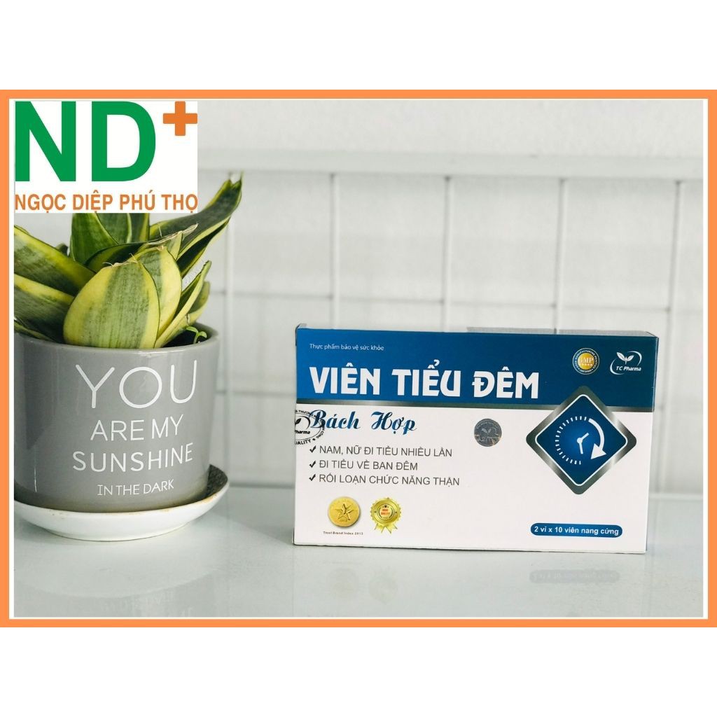 ✅ [CHÍNH HÃNG] Viên tiểu đêm Bách Hợp – Giúp bổ thận, ấm bàng quang, tăng cường chức năng thận, giảm tiểu đêm