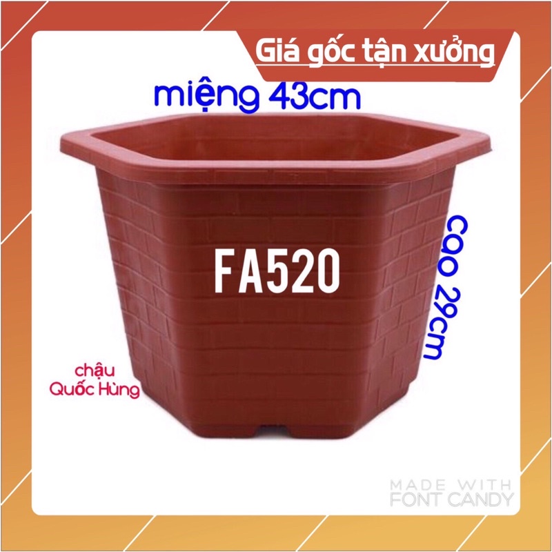 Combo 5 chậu FA520