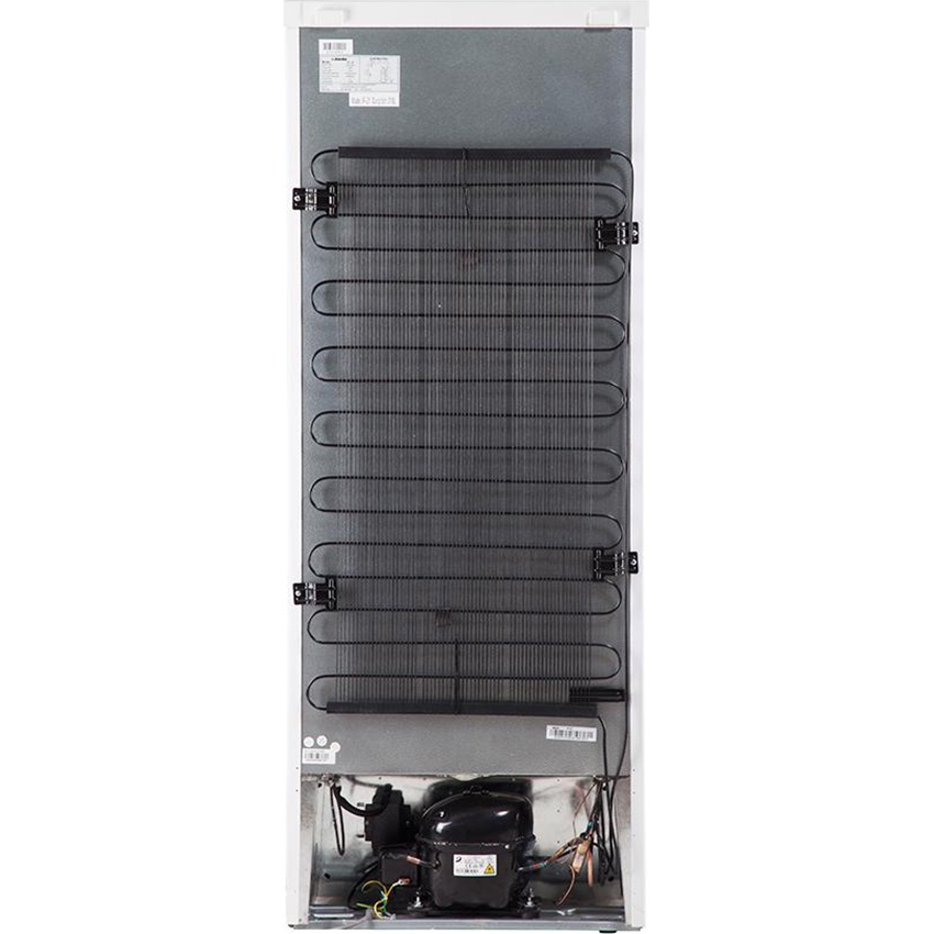 [MIỄN PHÍ GIAO LẮP] IF-21 - Tủ đông Alaska 210 lít IF-21