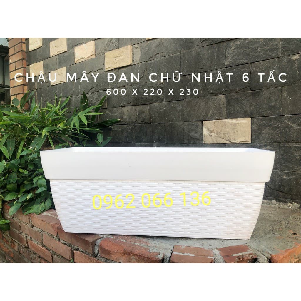 Chậu nhựa mây đan chữ nhật hàng cao cấp