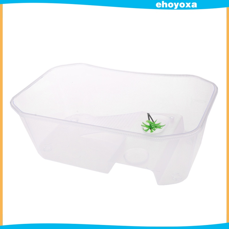 Hộp Nuôi Bò Sát / Bò Sát / Thằn Lằn / Bò Sát / Bò Sát Bằng Nhựa Hình Cây Dừa