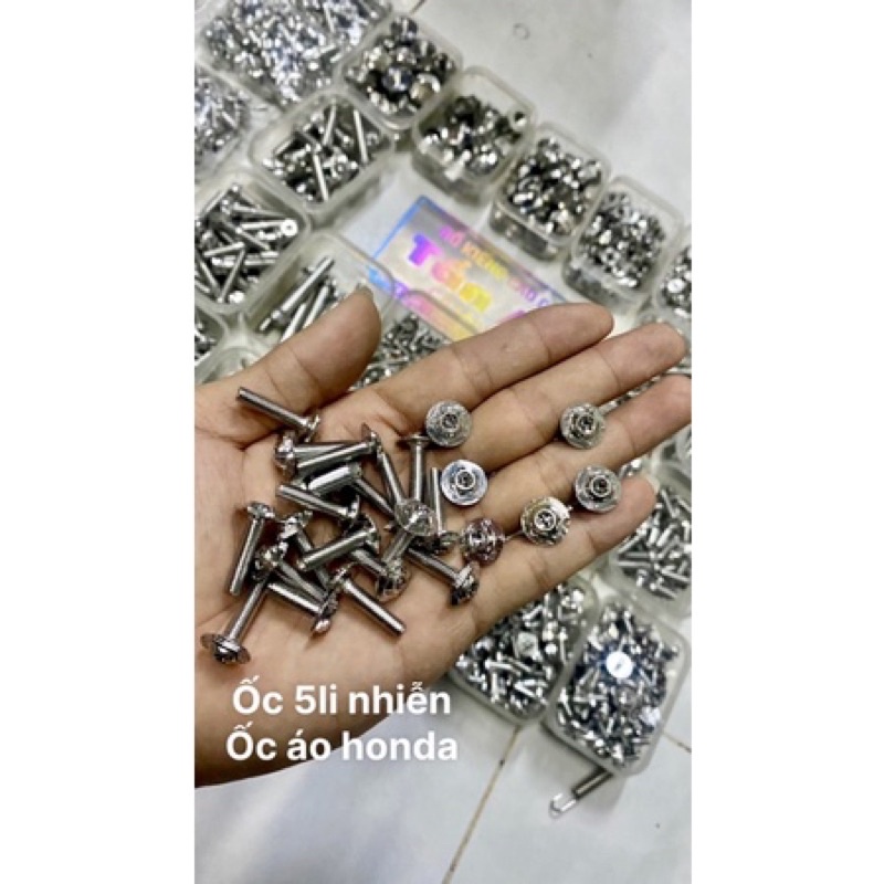 Ốc salaya 5li20 dù