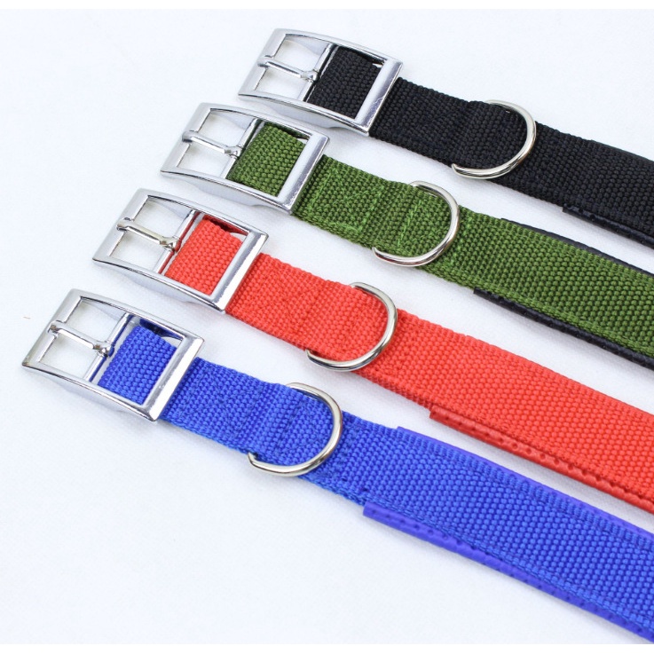 Vòng cổ cho chó to có đệm bảo vệ cổ - Vòng cổ đệm da cho chó