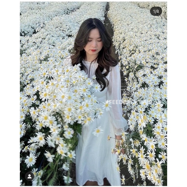 [Mã FAMARAL1 giảm 10K đơn 50K] Váy trắng dài tay pha voan Tia19 . Đầm nữ trắng dáng xoè đẹp ulzzang | BigBuy360 - bigbuy360.vn