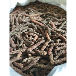 TIÊU DÀI-TIÊU LỐP-( long pepper )