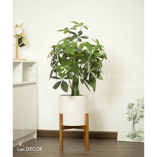 Cây giả - Cây kim ngân Lan Decor (85cm) - LC1989