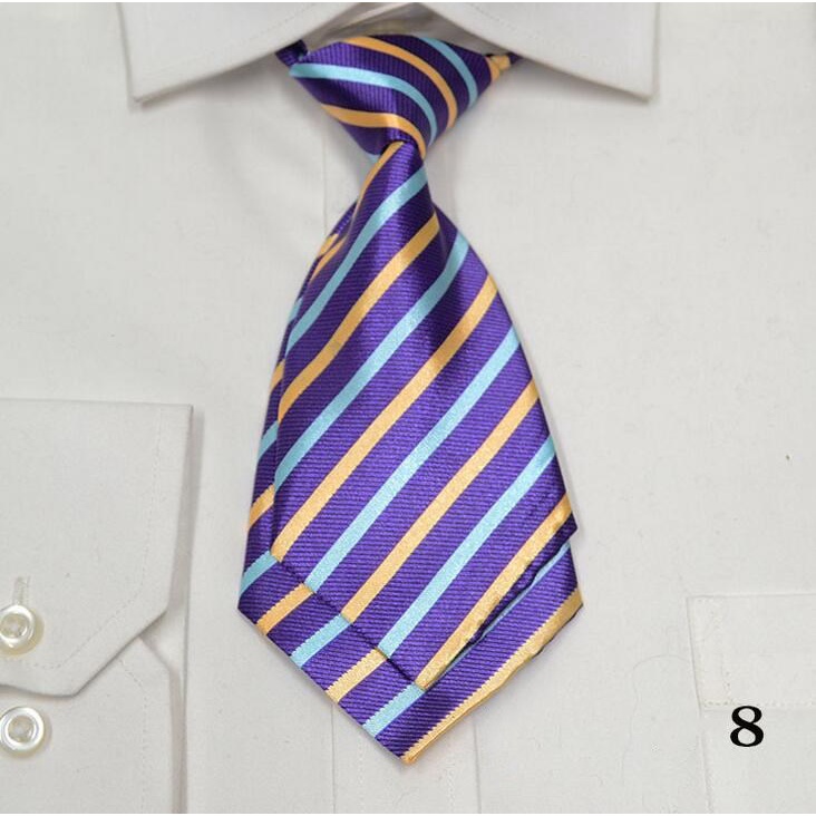 Cà Vạt Họa Tiết Chấm Bi Và Ngôi Sao Thời Trang Dành Cho Nữ