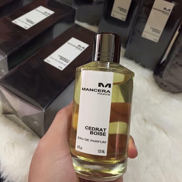 Mancera cedrat boise 120ml authentic