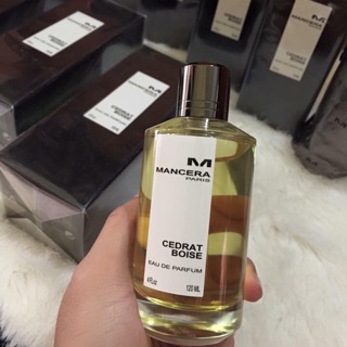 Mancera cedrat boise 120ml authentic