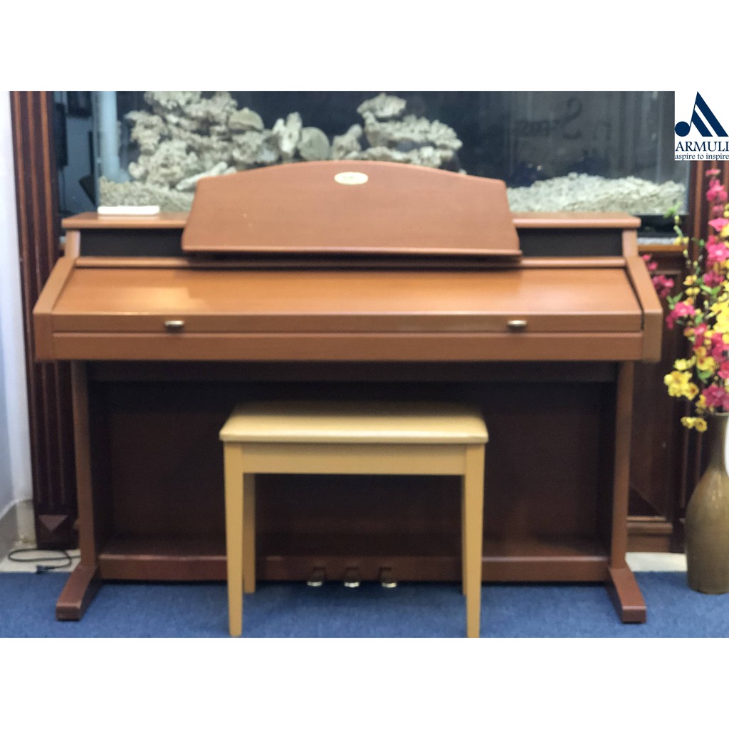 Đàn Piano Điện Kawai PW-1000