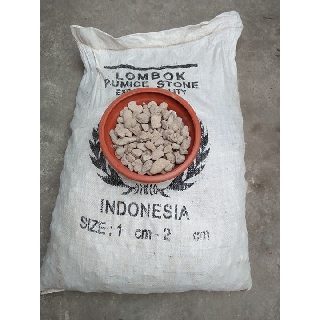 1kg đá bọt, đá núi lửa trồng hoa lan