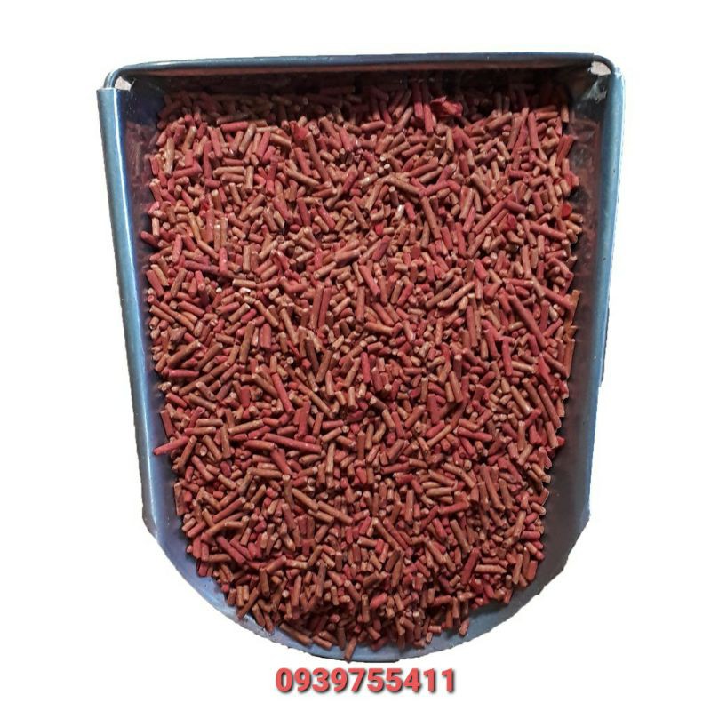 1KG Cám Ớt Cho Chim Nhồng Nói Cám Ớt Cho Sáo Cám Ớt Cho Chim Yểng Nói Thức ăn Viên Cho Nhồng