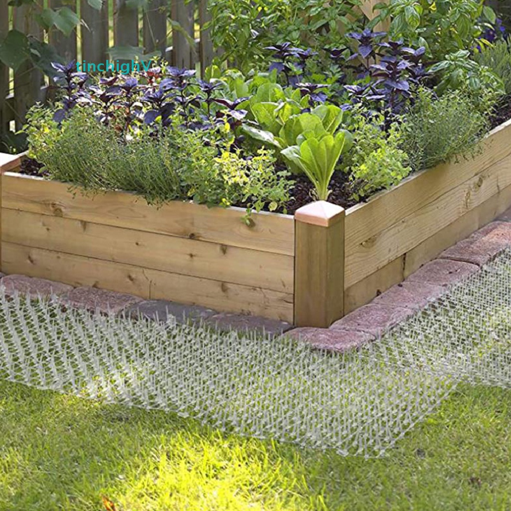 1 Cuộn Dây Gai Dừng Đuổi Mèo Kích Thước 13cmx49cm Tiện Dụng