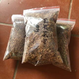Giá thể trồng bẫy kẹp - nắp ấm - hố bẫy