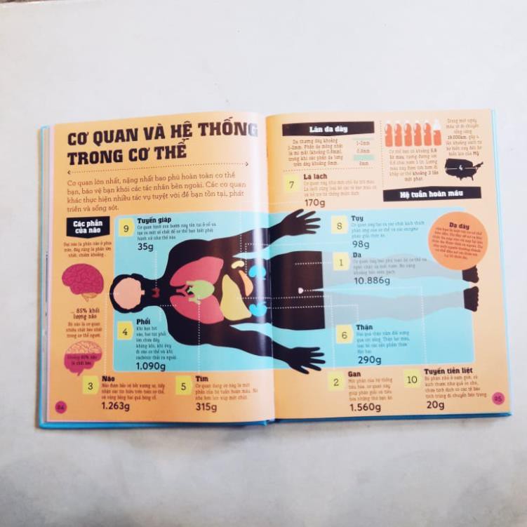 Sách - Infomania - Các kỷ lục, top 10 và những thông tin kỳ thú khác [Nhã Nam]