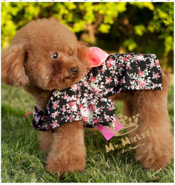 Kimono siêu xinh cho thú cưng