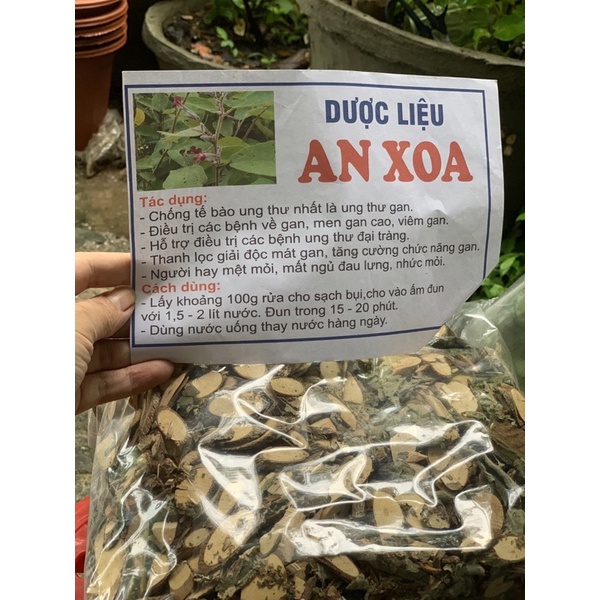 Trà AN XOA Hoà Bình hỗ trợ men gan, u gan, xơ gan, giải độc mát gan