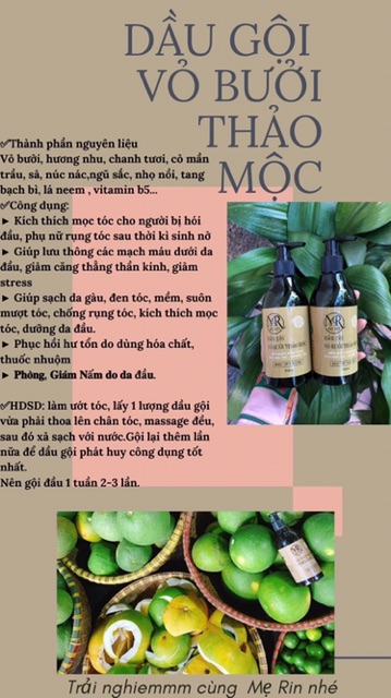 Dầu gội vỏ bưởi thảo mộc 100% thiên nhiên kích mọc tóc, trị gàu, mượt tóc