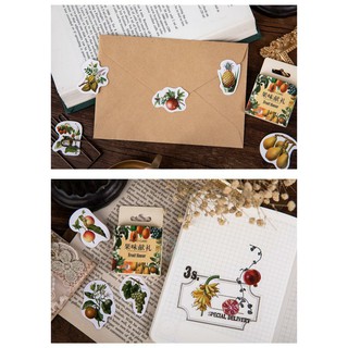 HỘP STICKER FRUIT FLAVOR