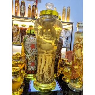 đinh lăng điêu khắc(bình 7lit như hình cao 52cm)