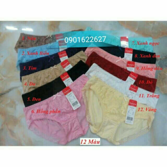 Sỉ 14 quần cotton phối ren