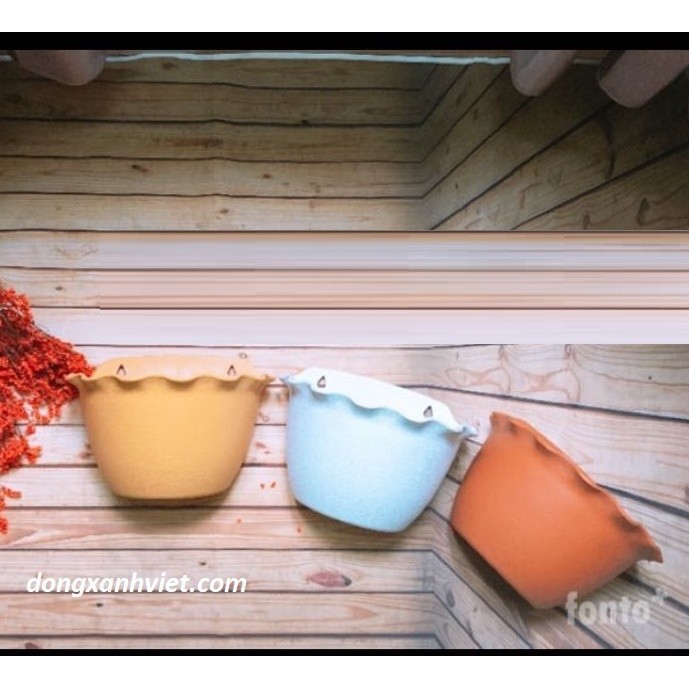 Bộ 5 chậu nhựa ốp tường trồng hoa, cây cảnh