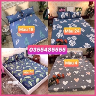 Bộ ga chun elisa - thắng  việt  Cotton 100% ( rẻ nhất 💥💥💥