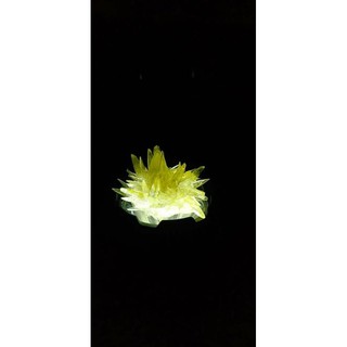 Bộ Nuôi Tinh Thể KDP